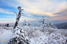 태백의 아침 - 쿨갤러리 출사코리아