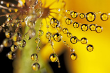 또 다른 세상 - 쿨갤러리 출사코리아