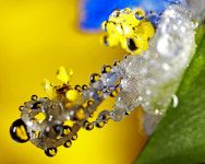 또 다른 세상 - 쿨갤러리 출사코리아