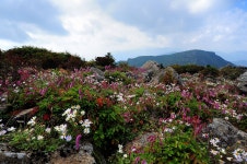 지리의화원 - 쿨갤러리 출사코리아