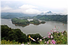 붕어섬 - 쿨갤러리 출사코리아