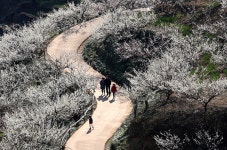 매향 가득한 가족나드리 - 쿨갤러리 출사코리아