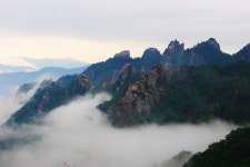 한계령에서 - 쿨갤러리 출사코리아