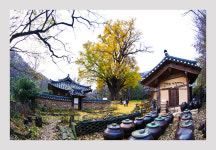 운곡서원 - 쿨갤러리 출사코리아