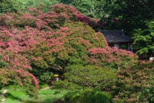 명옥헌 나들이 - 쿨갤러리 출사코리아