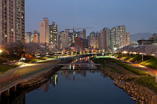 온천천 - 쿨갤러리 출사코리아