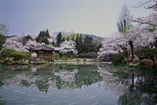 보문정 - 쿨갤러리 출사코리아