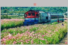 북천역 - 쿨갤러리 출사코리아