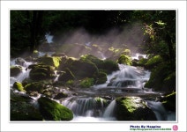 빛을 만나다 - 쿨갤러리 출사코리아