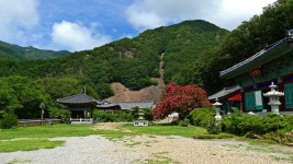 반야사 - 쿨갤러리 출사코리아