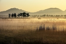 소래습지생태공원 - 쿨갤러리 출사코리아
