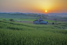 안성목장 - 쿨갤러리 출사코리아