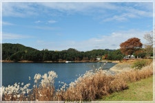 대청호반 - 쿨갤러리 출사코리아