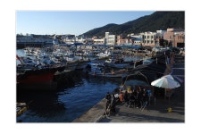 삼천포항의 오후 - 쿨갤러리 출사코리아