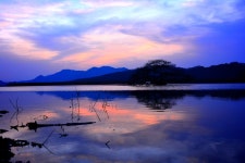 방죽골~2 - 쿨갤러리 출사코리아