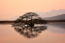 방죽골~2 - 쿨갤러리 출사코리아