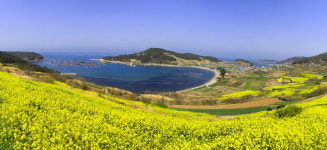 청산도의 봄 - 쿨갤러리 출사코리아