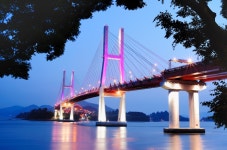 긴급번개 - 출사,번개알림 출사코리아