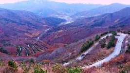보현산 천문대 오르는 길 (경북 영천시 ) - 추천갤러리 출사코리아