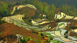 원양제전...호구 - 추천갤러리 출사코리아