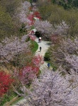드림로드 - 추천갤러리 출사코리아