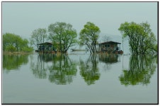 예당 저수지 - 추천갤러리 출사코리아