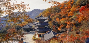 얼렁가보세유 - 추천갤러리 출사코리아