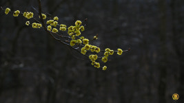 꿈꾸는 숲 - 추천갤러리 출사코리아