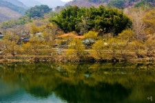 현천마을 - 추천갤러리 출사코리아