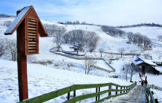 대관령 목장 - 추천갤러리 출사코리아