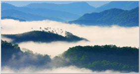 운해 - 추천갤러리 출사코리아