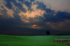 안성목장 - 추천갤러리 출사코리아