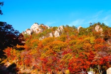 남설악 한계령 - 추천갤러리 출사코리아