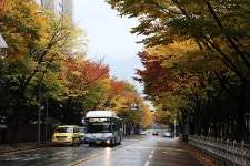 금곡역 부근 - 추천갤러리 출사코리아