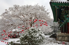 만연사의 추억... - 추천갤러리 출사코리아
