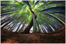 의지하여 - 추천갤러리 출사코리아