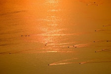 노을에 물이 들면 - 추천갤러리 출사코리아