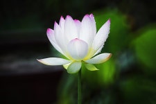 연 - 추천갤러리 출사코리아