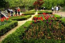 제이드 가든의 아름다운 꽃 - 추천갤러리 출사코리아