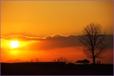 안성목장 - 추천갤러리 출사코리아