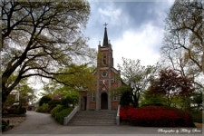 공세리 성당 - 추천갤러리 출사코리아