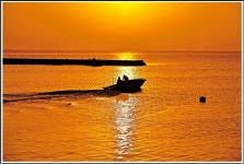 장흥소등섬의 아침 - 추천갤러리 출사코리아