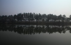 강변 풍경 - 추천갤러리 출사코리아