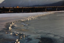 용담대교 - 추천갤러리 출사코리아