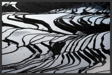 원양제전을 가다 - 추천갤러리 출사코리아