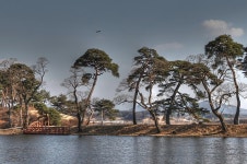 임실 대정제 소경 - 추천갤러리 출사코리아