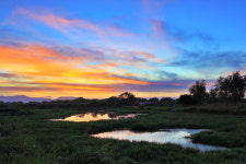 노을빛 이..... - 추천갤러리 출사코리아