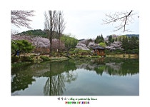 보문정 - 추천갤러리 출사코리아