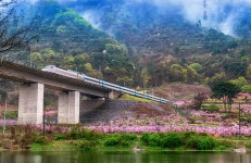 도원의 봄 - 추천갤러리 출사코리아