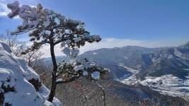 ~ 내일을 향하여 ~ - 추천갤러리 출사코리아